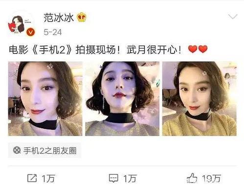娱乐圈吃瓜白鹿,揭秘明星背后的故事